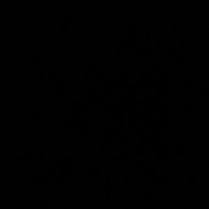 Meet your Posher, Arianna